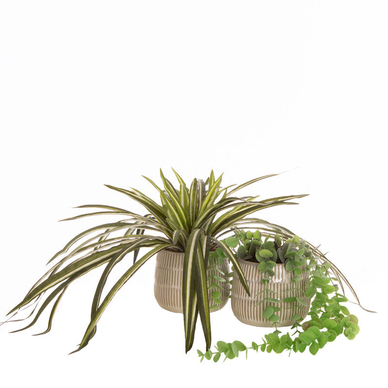 Set of 2 Artificial Plants in Beige Rustic Ribbed Ceramic Pots